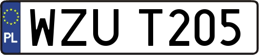 WZUT205