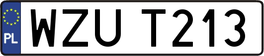 WZUT213