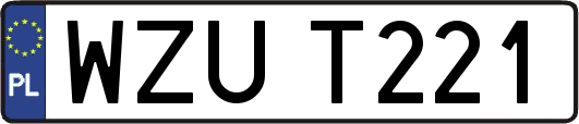 WZUT221