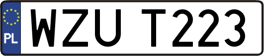 WZUT223