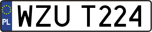 WZUT224