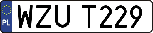 WZUT229