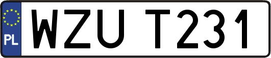 WZUT231