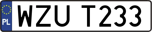 WZUT233