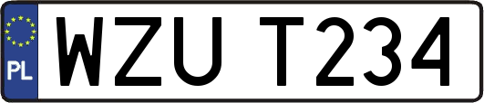 WZUT234