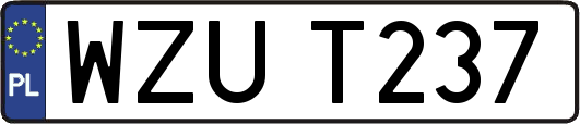 WZUT237