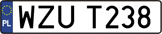 WZUT238