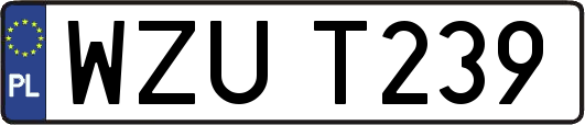 WZUT239
