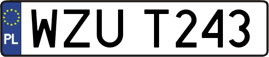 WZUT243