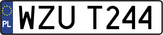 WZUT244