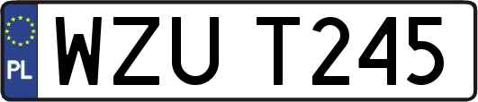 WZUT245