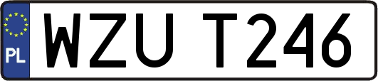 WZUT246