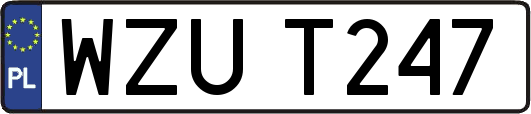 WZUT247