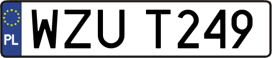 WZUT249