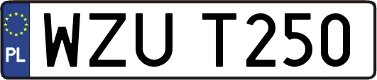 WZUT250