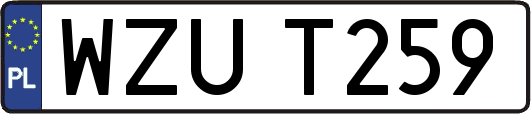 WZUT259