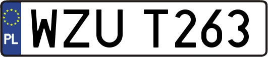WZUT263