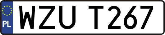 WZUT267