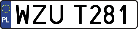 WZUT281