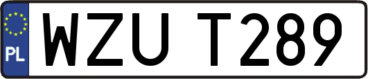 WZUT289