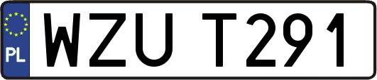 WZUT291