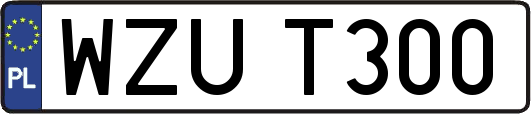 WZUT300