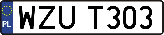 WZUT303