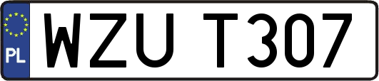 WZUT307
