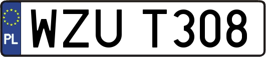 WZUT308