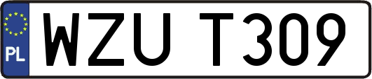 WZUT309