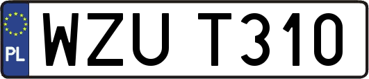 WZUT310