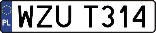 WZUT314