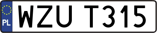 WZUT315