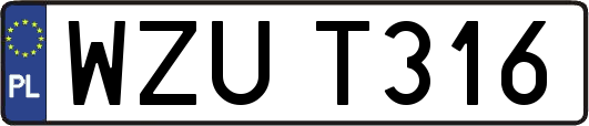 WZUT316