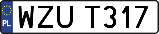 WZUT317