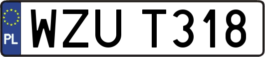 WZUT318