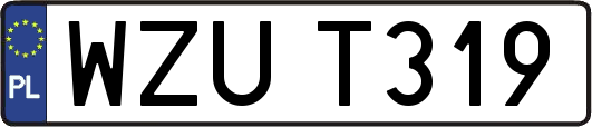WZUT319