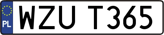 WZUT365