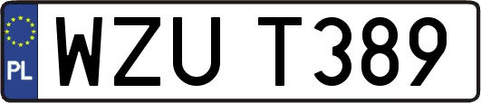 WZUT389