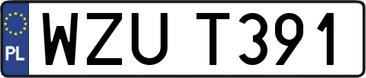 WZUT391