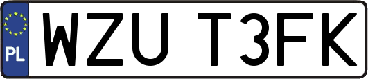 WZUT3FK