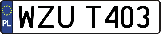 WZUT403