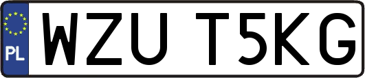 WZUT5KG