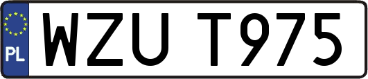 WZUT975