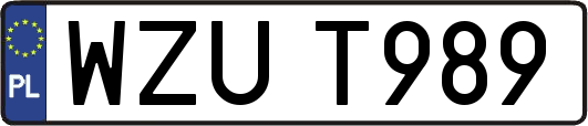 WZUT989