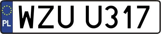 WZUU317