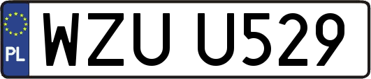WZUU529