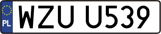 WZUU539