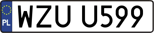 WZUU599