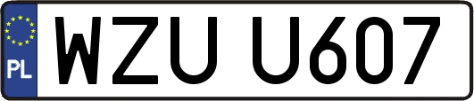 WZUU607